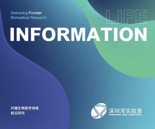 建筑施工企業(yè)VI設(shè)計(jì)：規(guī)范至上，鑄就品牌之魂