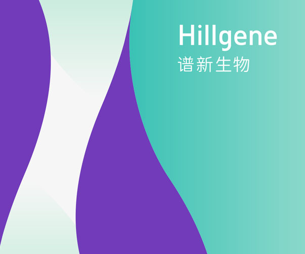 關于名片設計中常用構圖